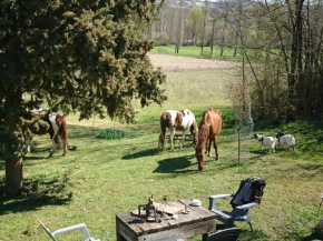 Comfortable Quiet House in the countryside Porte-du-Quercy for 8 people